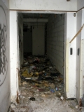 Детройт и окрестности, 2012.