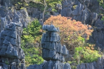 Манила-Корон-ЭльНидо-Панглао-Бохол-Себу-Боракай (Новый Год Январь 2013)