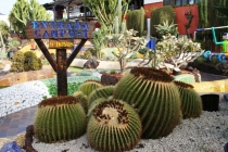 Тенерифе Пирамида Арона 2007