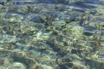 Манила-Корон-ЭльНидо-Панглао-Бохол-Себу-Боракай (Новый Год Январь 2013)