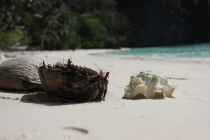 Манила-Корон-ЭльНидо-Панглао-Бохол-Себу-Боракай (Новый Год Январь 2013)