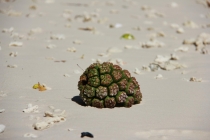 Манила-Корон-ЭльНидо-Панглао-Бохол-Себу-Боракай (Новый Год Январь 2013)