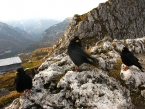 Осенняя сказка о Доломитах (via ferrata, climbing, велотрип). Вторая половина октября 2013