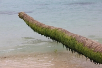 Манила-Корон-ЭльНидо-Панглао-Бохол-Себу-Боракай (Новый Год Январь 2013)