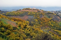 Покритикуйте маршрут в феврале Марсель-Монако-Марсель