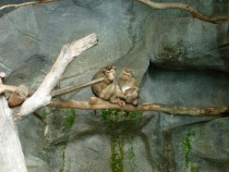 В поисках себя. Паттайя В поисках себя. Паттайя