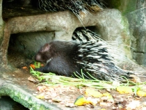 В поисках себя. Паттайя В поисках себя. Паттайя