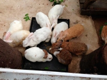 В поисках себя. Паттайя В поисках себя. Паттайя