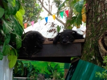 В поисках себя. Паттайя В поисках себя. Паттайя