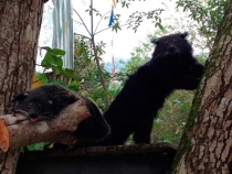 В поисках себя. Паттайя В поисках себя. Паттайя