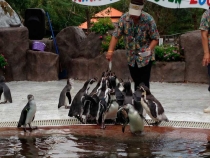 В поисках себя. Паттайя В поисках себя. Паттайя