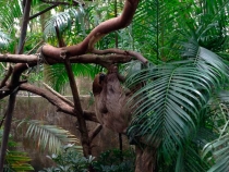 В поисках себя. Паттайя В поисках себя. Паттайя