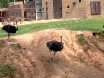 В поисках себя. Паттайя В поисках себя. Паттайя