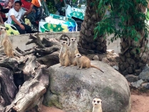 В поисках себя. Паттайя В поисках себя. Паттайя