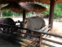 В поисках себя. Паттайя В поисках себя. Паттайя