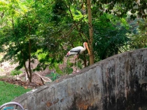 В поисках себя. Паттайя В поисках себя. Паттайя