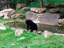 В поисках себя. Паттайя В поисках себя. Паттайя
