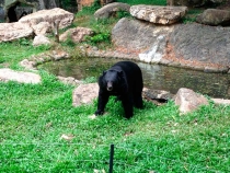 В поисках себя. Паттайя В поисках себя. Паттайя