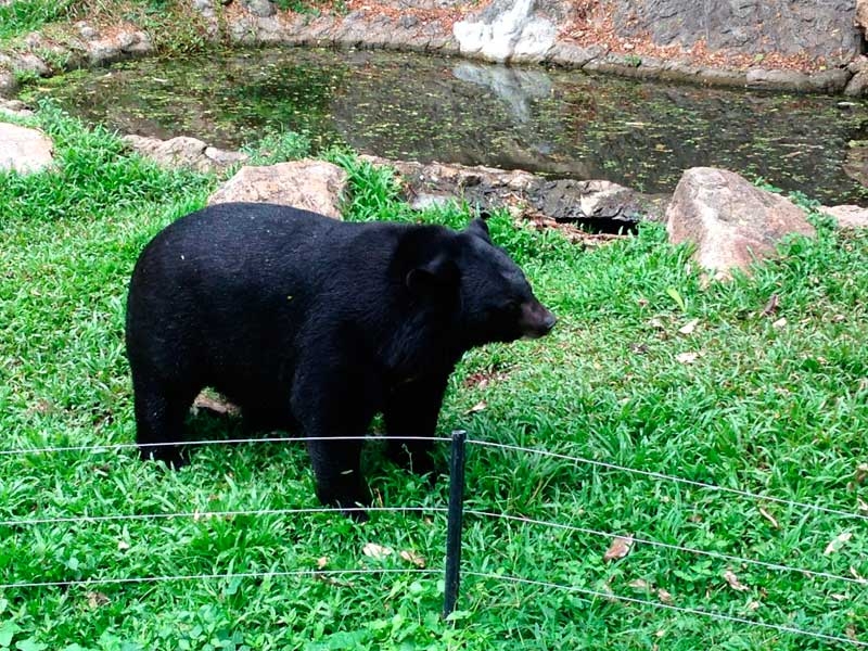 В поисках себя. Паттайя В поисках себя. Паттайя