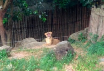 В поисках себя. Паттайя В поисках себя. Паттайя