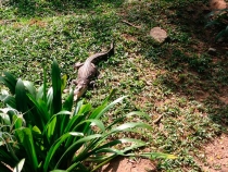 В поисках себя. Паттайя В поисках себя. Паттайя