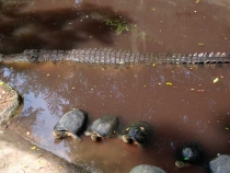 В поисках себя. Паттайя В поисках себя. Паттайя