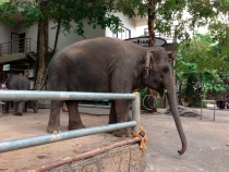 В поисках себя. Паттайя В поисках себя. Паттайя