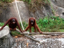 В поисках себя. Паттайя В поисках себя. Паттайя