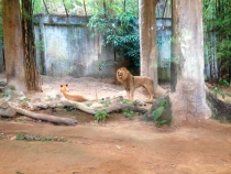 В поисках себя. Паттайя В поисках себя. Паттайя