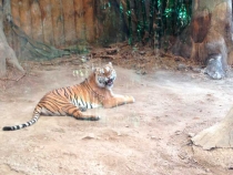 В поисках себя. Паттайя В поисках себя. Паттайя