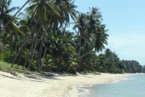 DSC00860