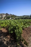 о. Закинтос (Zakynthos) с посещением Kefalonia о. Закинтос (Zakynthos) с посещением Kefalonia