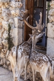 о. Закинтос (Zakynthos) с посещением Kefalonia о. Закинтос (Zakynthos) с посещением Kefalonia