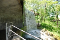 Зоопарк Торонто (Toronto Zoo)