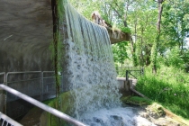 Зоопарк Торонто (Toronto Zoo)