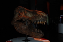 Biodom&Planetarium