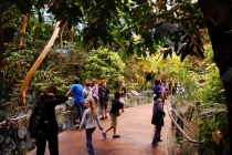 Biodom&Planetarium