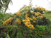 Сан Франциско