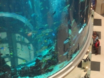 На Логане по Европе -08.2013 (Пол. –Герм.-Австр.-Ита.-Словен.-Хорват.-Венгр.-Словак.-Чех.)