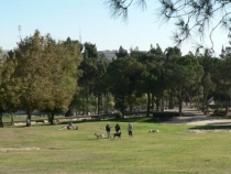 Израиль в конце октября: Иерусалим-Мертвое море-Тверия-Хайфа-Тель-Авив (25.10-07.11.2013)