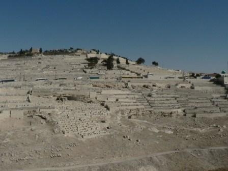 Израиль в конце октября: Иерусалим-Мертвое море-Тверия-Хайфа-Тель-Авив (25.10-07.11.2013)