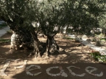 Израиль в конце октября: Иерусалим-Мертвое море-Тверия-Хайфа-Тель-Авив (25.10-07.11.2013)