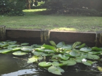 На Логане по Европе -08.2013 (Пол. –Герм.-Австр.-Ита.-Словен.-Хорват.-Венгр.-Словак.-Чех.)