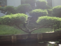 На Логане по Европе -08.2013 (Пол. –Герм.-Австр.-Ита.-Словен.-Хорват.-Венгр.-Словак.-Чех.)