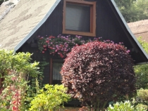 На Логане по Европе -08.2013 (Пол. –Герм.-Австр.-Ита.-Словен.-Хорват.-Венгр.-Словак.-Чех.)