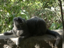 Израиль в конце октября: Иерусалим-Мертвое море-Тверия-Хайфа-Тель-Авив (25.10-07.11.2013)