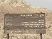 Израиль в конце октября: Иерусалим-Мертвое море-Тверия-Хайфа-Тель-Авив (25.10-07.11.2013)