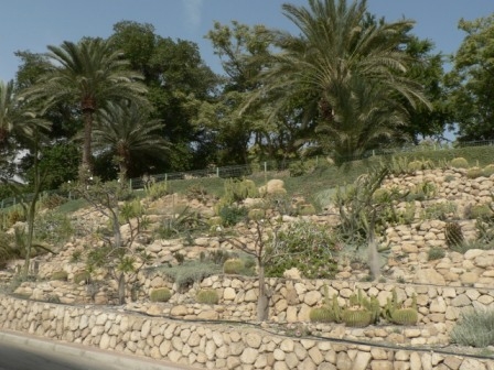 Израиль в конце октября: Иерусалим-Мертвое море-Тверия-Хайфа-Тель-Авив (25.10-07.11.2013)