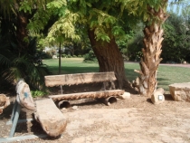 Израиль в конце октября: Иерусалим-Мертвое море-Тверия-Хайфа-Тель-Авив (25.10-07.11.2013)