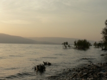 Израиль в конце октября: Иерусалим-Мертвое море-Тверия-Хайфа-Тель-Авив (25.10-07.11.2013)